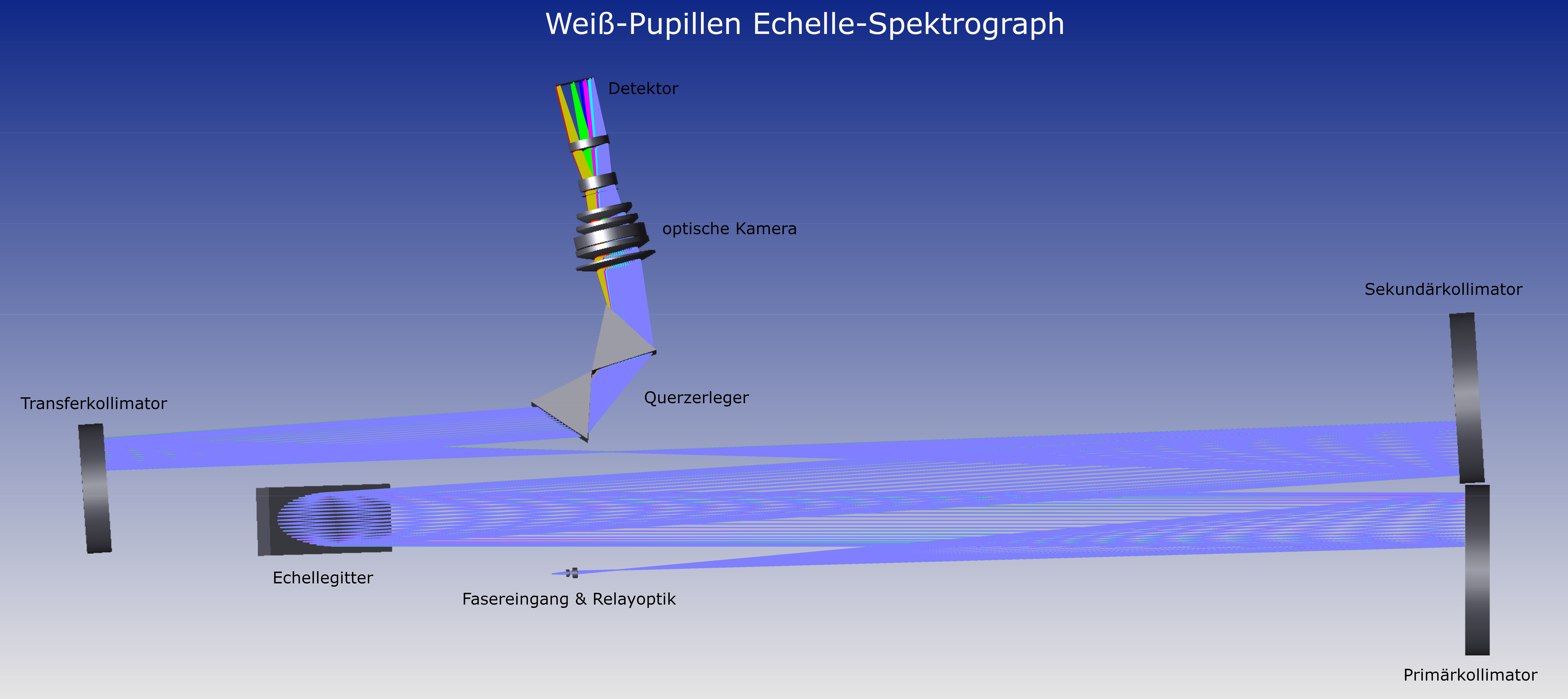 White Pupil Echelle